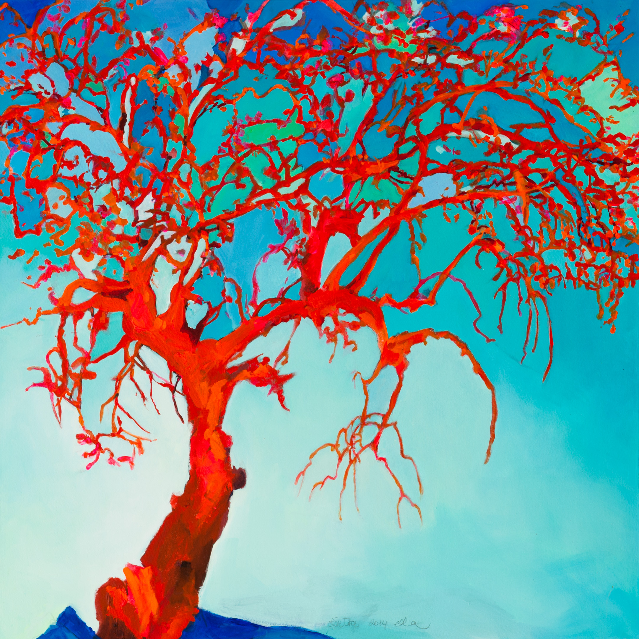 Portuguese red olive